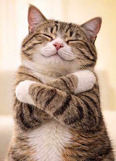 Cats Biggest Hug Funny Birthday     Sending you the biggest birthday hug!